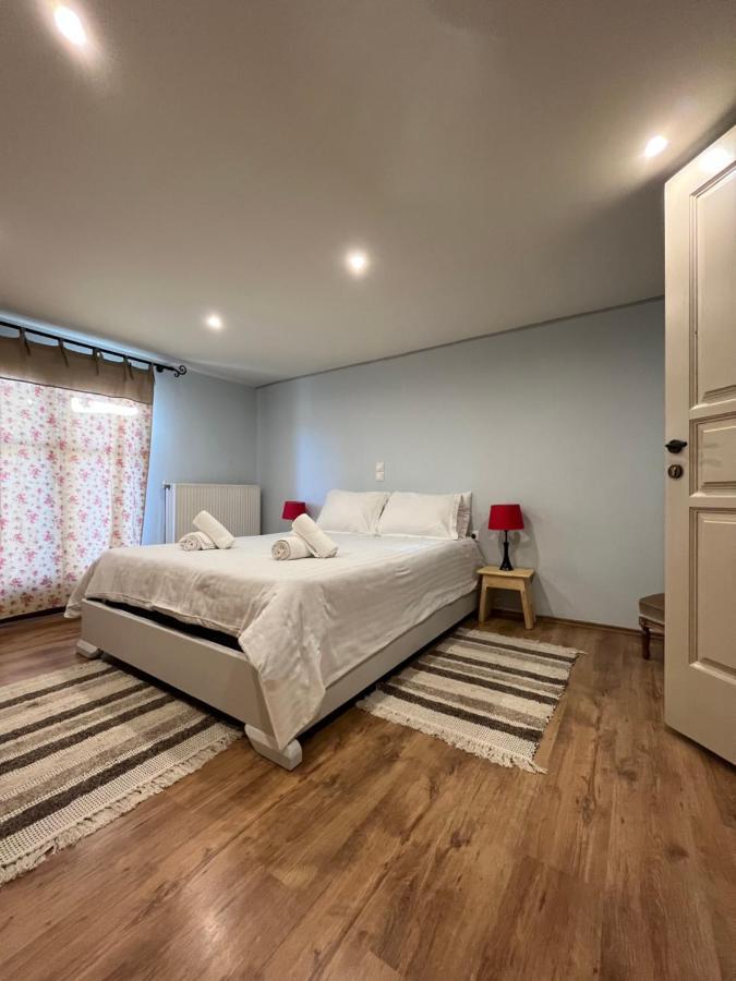Mountain Home / Center Arachova Zewnętrze zdjęcie